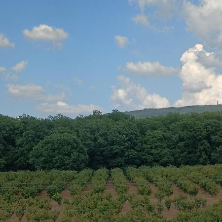 Il Sartore Vetralla Buitenkant foto