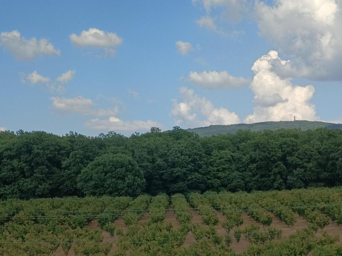 Il Sartore Vetralla Buitenkant foto
